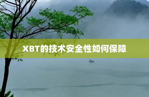 XBT的技术安全性如何保障