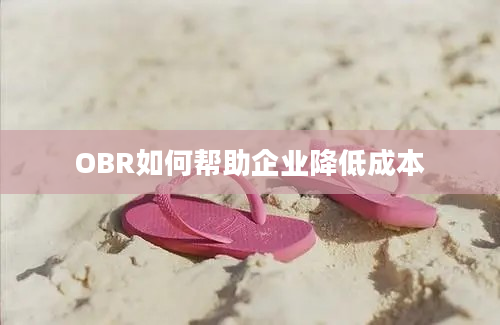 OBR如何帮助企业降低成本