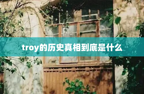 troy的历史真相到底是什么