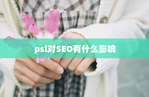 psl对SEO有什么影响