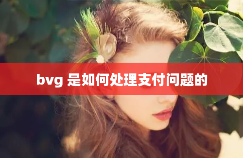 bvg 是如何处理支付问题的