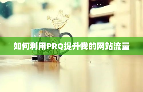 如何利用PRQ提升我的网站流量