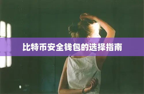 比特币安全钱包的选择指南