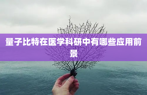 量子比特在医学科研中有哪些应用前景