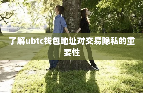 了解ubtc钱包地址对交易隐私的重要性