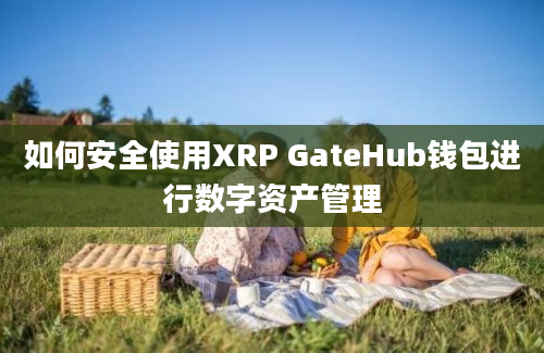 如何安全使用XRP GateHub钱包进行数字资产管理