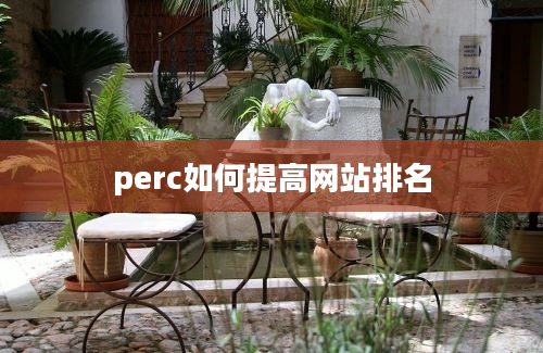 perc如何提高网站排名