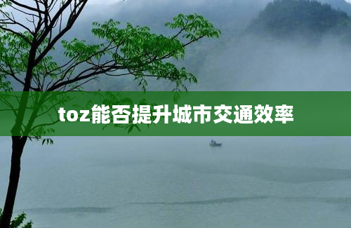 toz能否提升城市交通效率