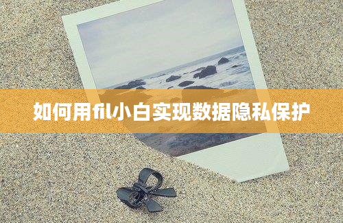 如何用fil小白实现数据隐私保护