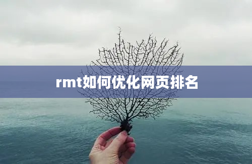 rmt如何优化网页排名