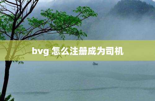 bvg 怎么注册成为司机