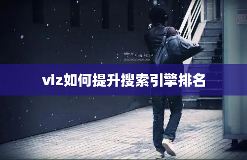 viz如何提升搜索引擎排名