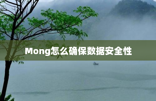 Mong怎么确保数据安全性