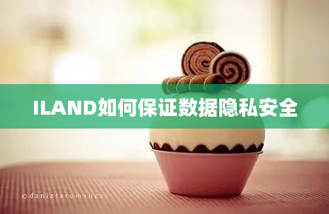 ILAND如何保证数据隐私安全