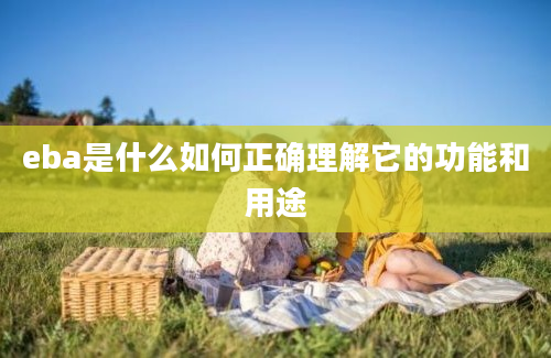 eba是什么如何正确理解它的功能和用途