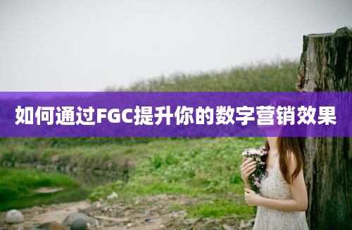 如何通过FGC提升你的数字营销效果