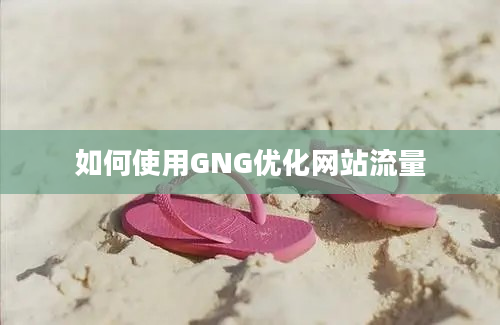 如何使用GNG优化网站流量