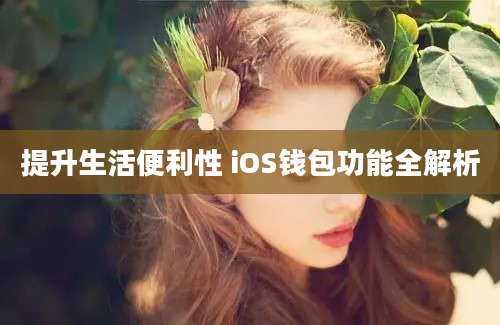 提升生活便利性 iOS钱包功能全解析