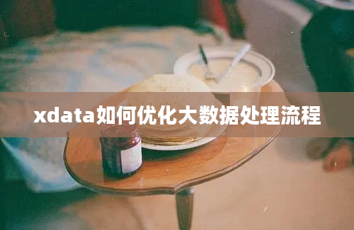 xdata如何优化大数据处理流程