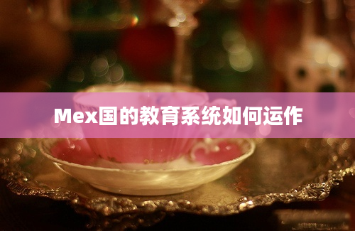 Mex国的教育系统如何运作