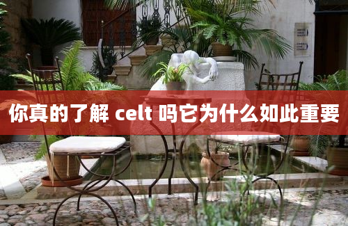 你真的了解 celt 吗它为什么如此重要