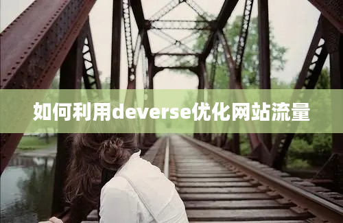 如何利用deverse优化网站流量