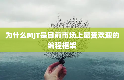 为什么MJT是目前市场上最受欢迎的编程框架