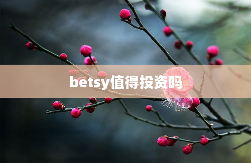 betsy值得投资吗