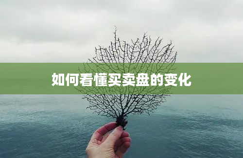 如何看懂买卖盘的变化