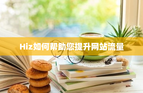 Hiz如何帮助您提升网站流量