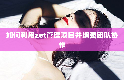 如何利用zet管理项目并增强团队协作