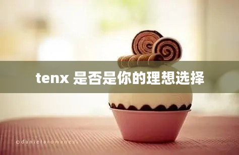 tenx 是否是你的理想选择