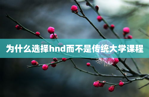 为什么选择hnd而不是传统大学课程