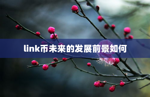 link币未来的发展前景如何