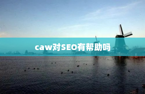 caw对SEO有帮助吗