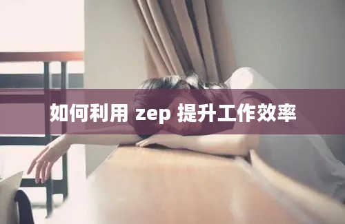 如何利用 zep 提升工作效率