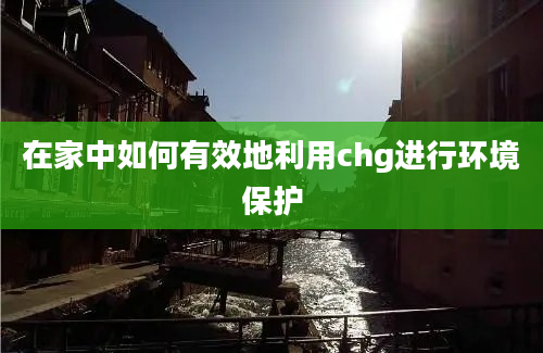 在家中如何有效地利用chg进行环境保护