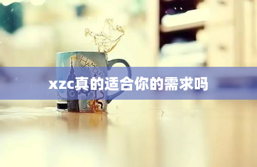 xzc真的适合你的需求吗