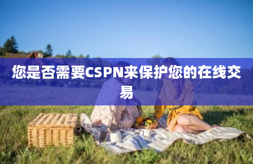 您是否需要CSPN来保护您的在线交易