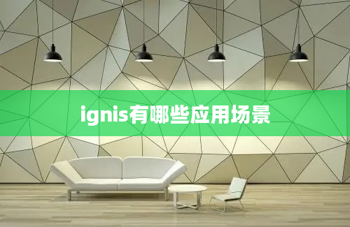 ignis有哪些应用场景