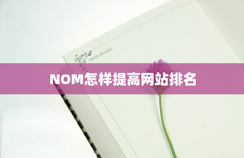 NOM怎样提高网站排名