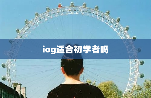 iog适合初学者吗