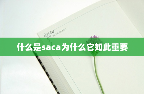 什么是saca为什么它如此重要