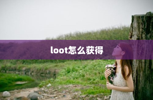 loot怎么获得