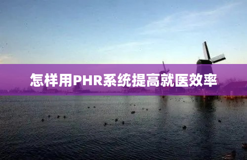 怎样用PHR系统提高就医效率