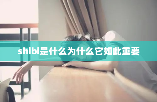 shibi是什么为什么它如此重要