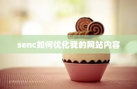 senc如何优化我的网站内容