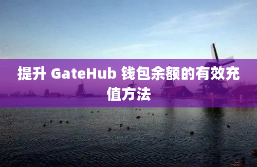 提升 GateHub 钱包余额的有效充值方法