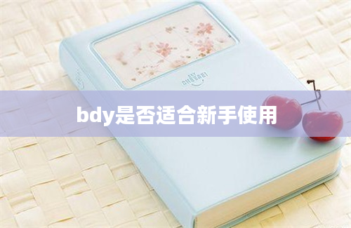 bdy是否适合新手使用