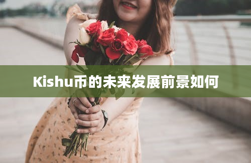 Kishu币的未来发展前景如何